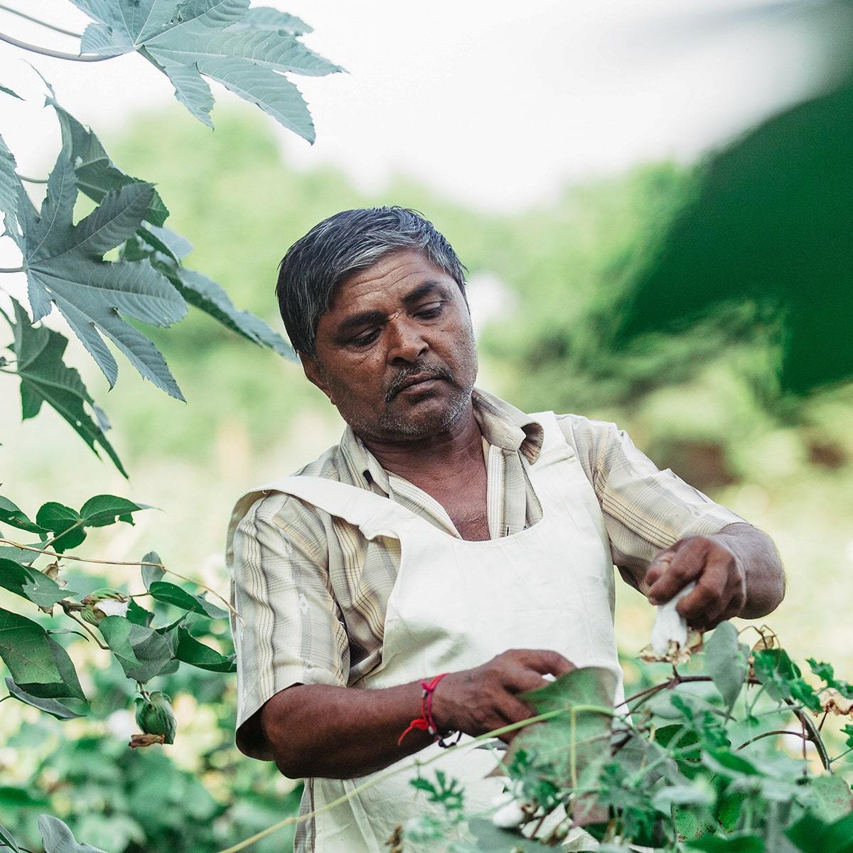 ARMEDANGELS - BACKYARD
