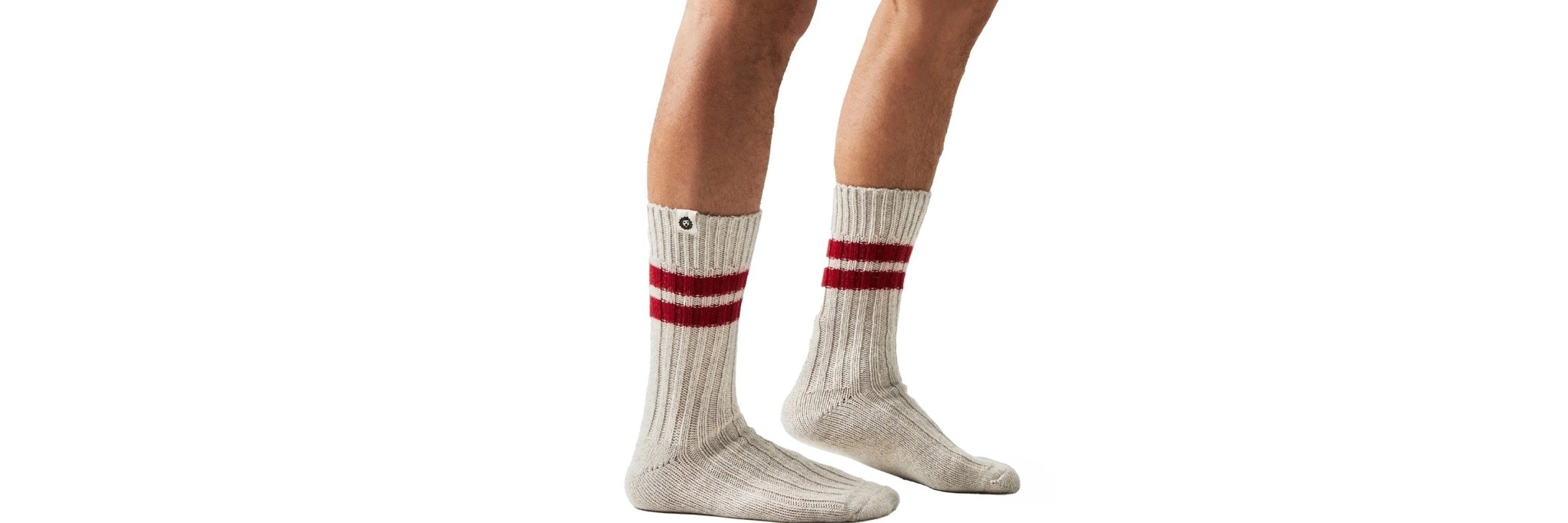 JIMMY LION - BACKYARD