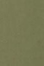 ARMEDANGELS - Aaster - Fatigue Green - BACKYARD