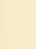 ARMEDANGELS - Idaara - Early Yellow - BACKYARD