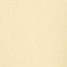 ARMEDANGELS - Jaames - Early Yellow - BACKYARD