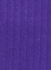 ARMEDANGELS - Saamus Bold - Indigo Lilac - BACKYARD