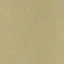 BASK IN THE SUN - Sergi Jacket - Eucalyptus - BACKYARD