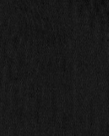 CARHARTT WIP - Hooded Chase Sweat - Black Gold - BACKYARD