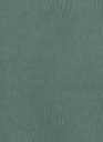 CARHARTT WIP - Hooded Chase Sweat - Silver Pine Gold - BACKYARD