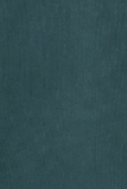 CARHARTT WIP - W' Nelson Sweat - Deep Lagoon Garment Dyed - BACKYARD