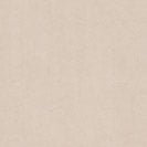 CARHARTT WIP - Women W' Casey Sweatshirt - Fleur De Sel Silver - BACKYARD