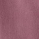 CLEPTOMANICX - Ligull Crewneck - Decadent Chocolate - BACKYARD