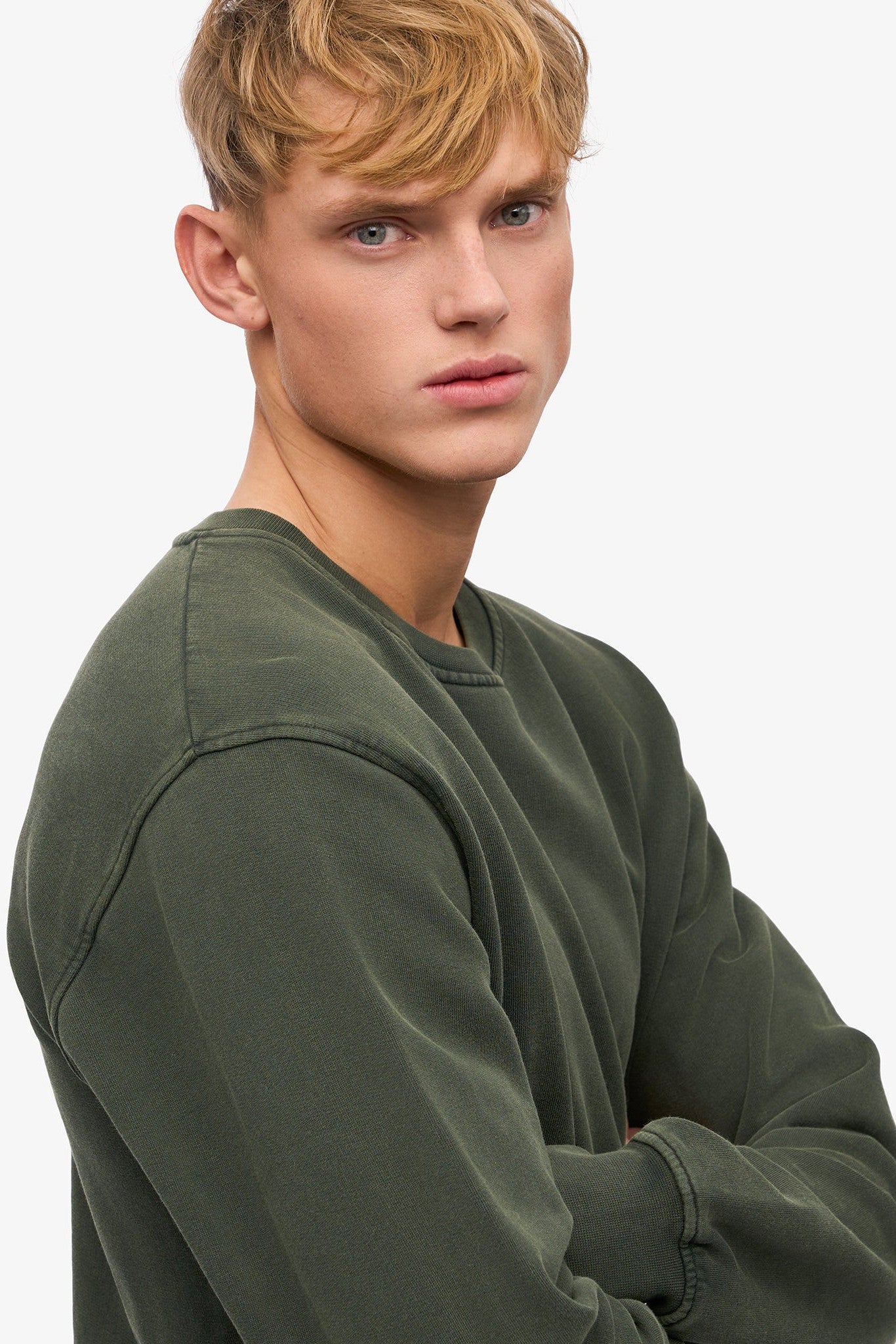 COLORFUL STANDARD - Classic Organic Crew - Midnight Forest - BACKYARD