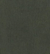 COLORFUL STANDARD - Classic Organic Crew - Midnight Forest - BACKYARD