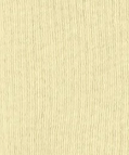 COLORFUL STANDARD - Classic Organic Sock - Soft Yellow - BACKYARD