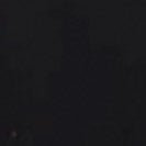 COLORFUL STANDARD - Classic Organic Tee - Deep Black - BACKYARD