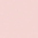 COLORFUL STANDARD - Classic Organic Tee - Faded Pink - BACKYARD