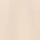 COLORFUL STANDARD - Classic Organic Tee - Ivory White - BACKYARD