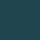 COLORFUL STANDARD - Classic Organic Tee - Ocean Green - BACKYARD