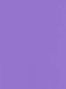 COLORFUL STANDARD - Classic Organic Tee - Ultra Violet - BACKYARD