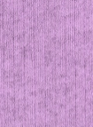 COLORFUL STANDARD - Organic Active Sock - Cherry Blossom - BACKYARD