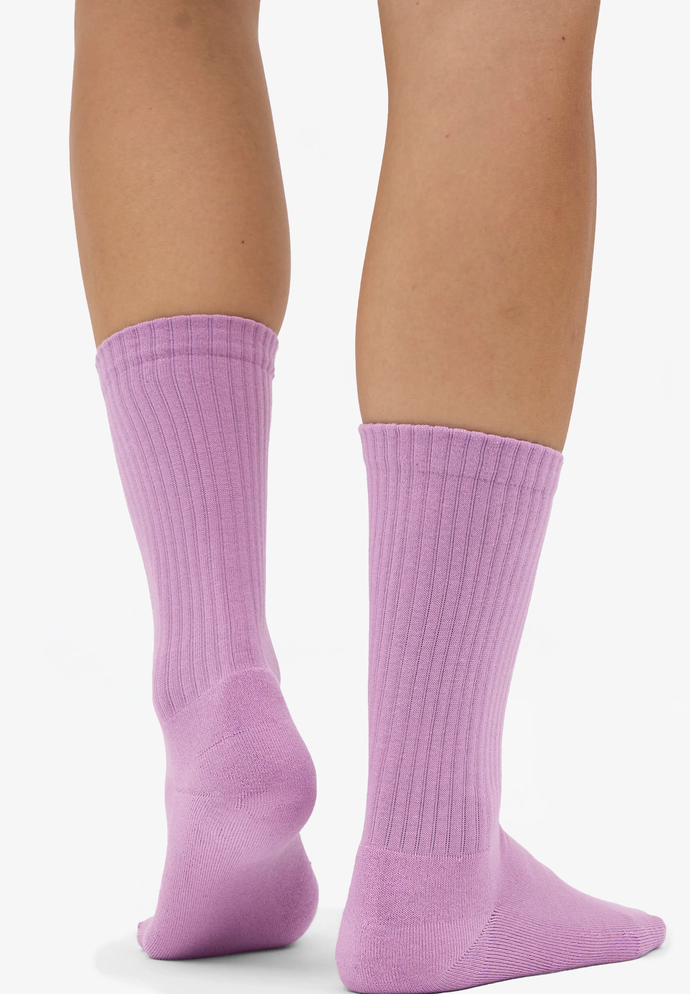 COLORFUL STANDARD - Organic Active Sock - Cherry Blossom - BACKYARD