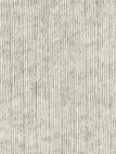 COLORFUL STANDARD - Organic Active Sock - Ivory White - BACKYARD