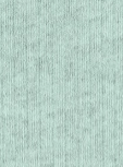 COLORFUL STANDARD - Organic Active Sock - Light Aqua - BACKYARD