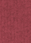 COLORFUL STANDARD - Organic Active Sock - Raspberry Pink - BACKYARD