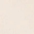 COLORFUL STANDARD - Organic Boxy Crop Tee - Ivory White - BACKYARD