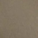 COLORFUL STANDARD - Organic Button Down Shirt - Dusty Olive - BACKYARD