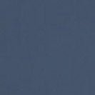 COLORFUL STANDARD - Organic Button Down Shirt - Petrol Blue - BACKYARD