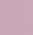 COLORFUL STANDARD - Organic Oversized Crew - Pearly Purple - BACKYARD