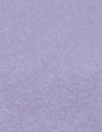 COLORFUL STANDARD - Organic Oversized Crew - Purple Jade - BACKYARD
