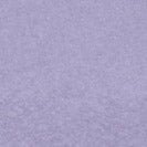 COLORFUL STANDARD - Organic Oversized Crew - Purple Jade - BACKYARD