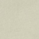 IRIEDAILY - Peacy Ride Tee - Light Sage - BACKYARD