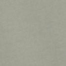 IRIEDAILY - Peacy Ride Tee - Lint - BACKYARD