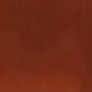 KOMONO - Jay - Bronze - BACKYARD