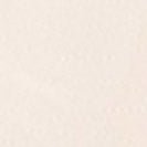 NOTABAG - Notabag Crossbody - Cream - BACKYARD