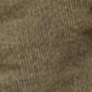 PASSENGER - Adventurer Cord Trouser - Dusty Olive - BACKYARD