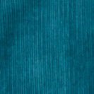 PASSENGER - Backcountry Cord Shirt - Tidal Blue - BACKYARD