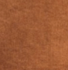 PASSENGER - Backcountry Cord Shirt - Toffee - BACKYARD