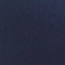 PASSENGER - Core Organic Cotton Trucker Cap - Rich Navy - BACKYARD