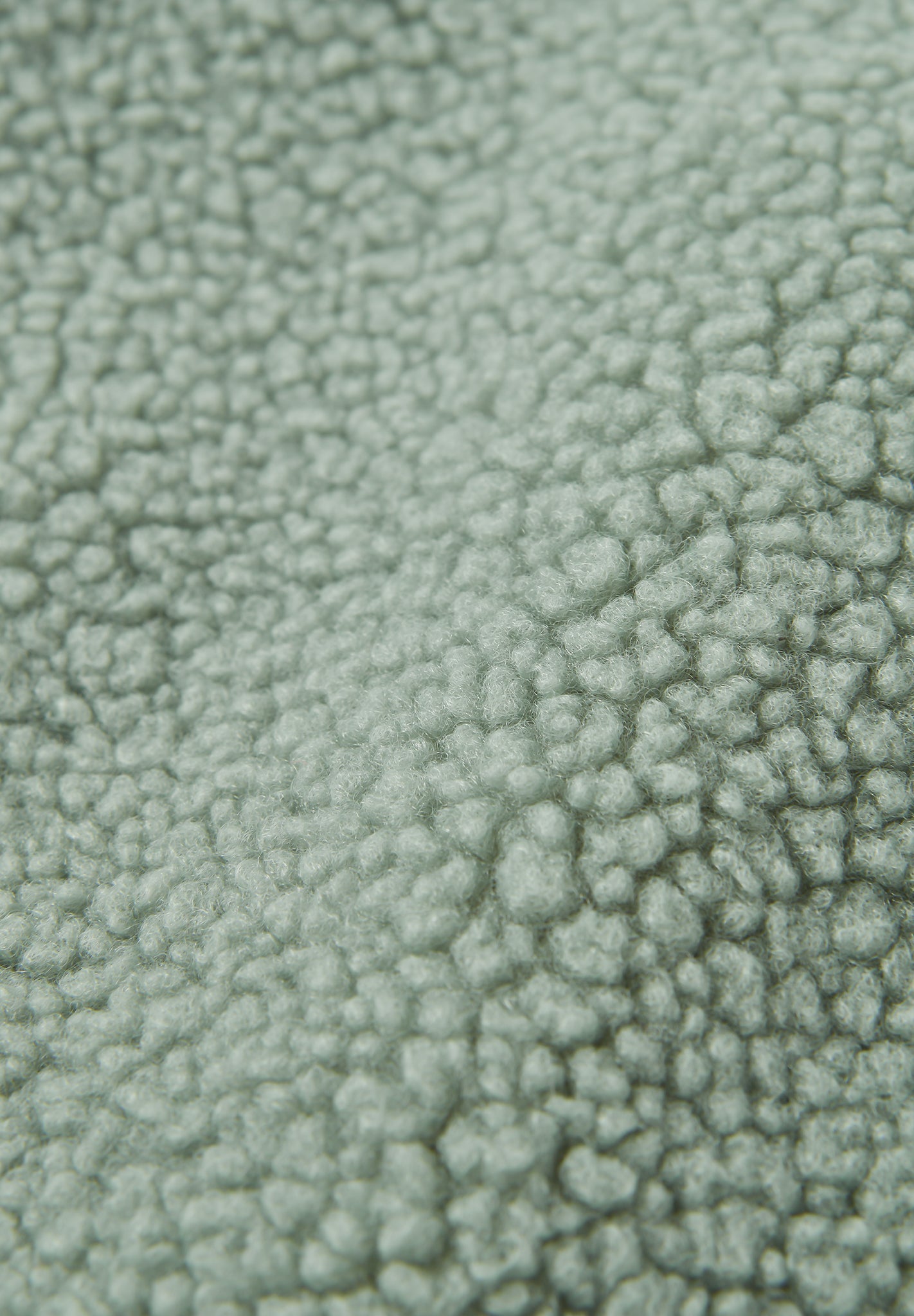 PASSENGER - Lucia Recycled Sherpa Fleece - Pistachio - BACKYARD