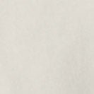 PATAGONIA - Women's Regenerative Organic Certified Cotton Essential Top - Wool White - BACKYARD