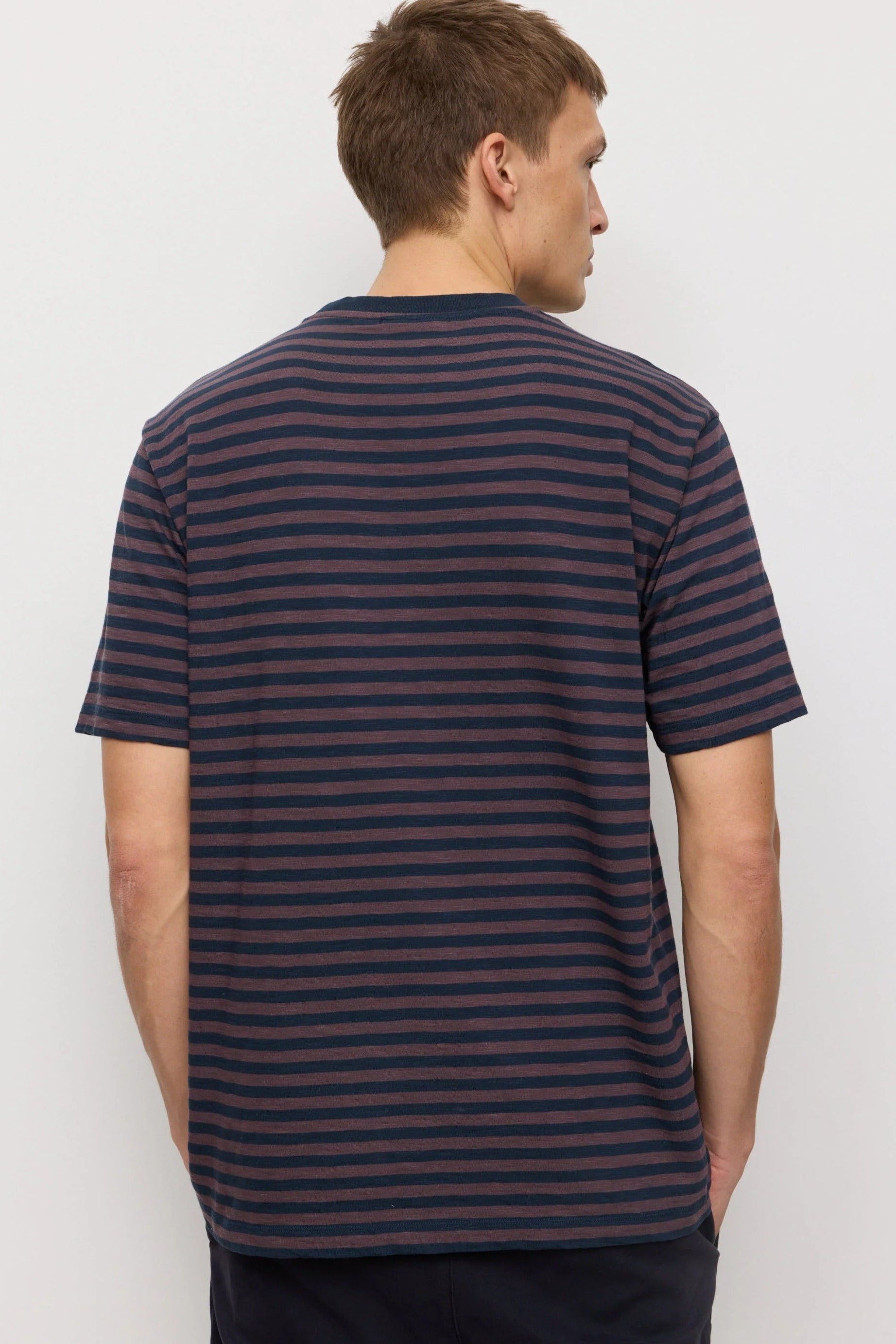 Delonix Stripes
