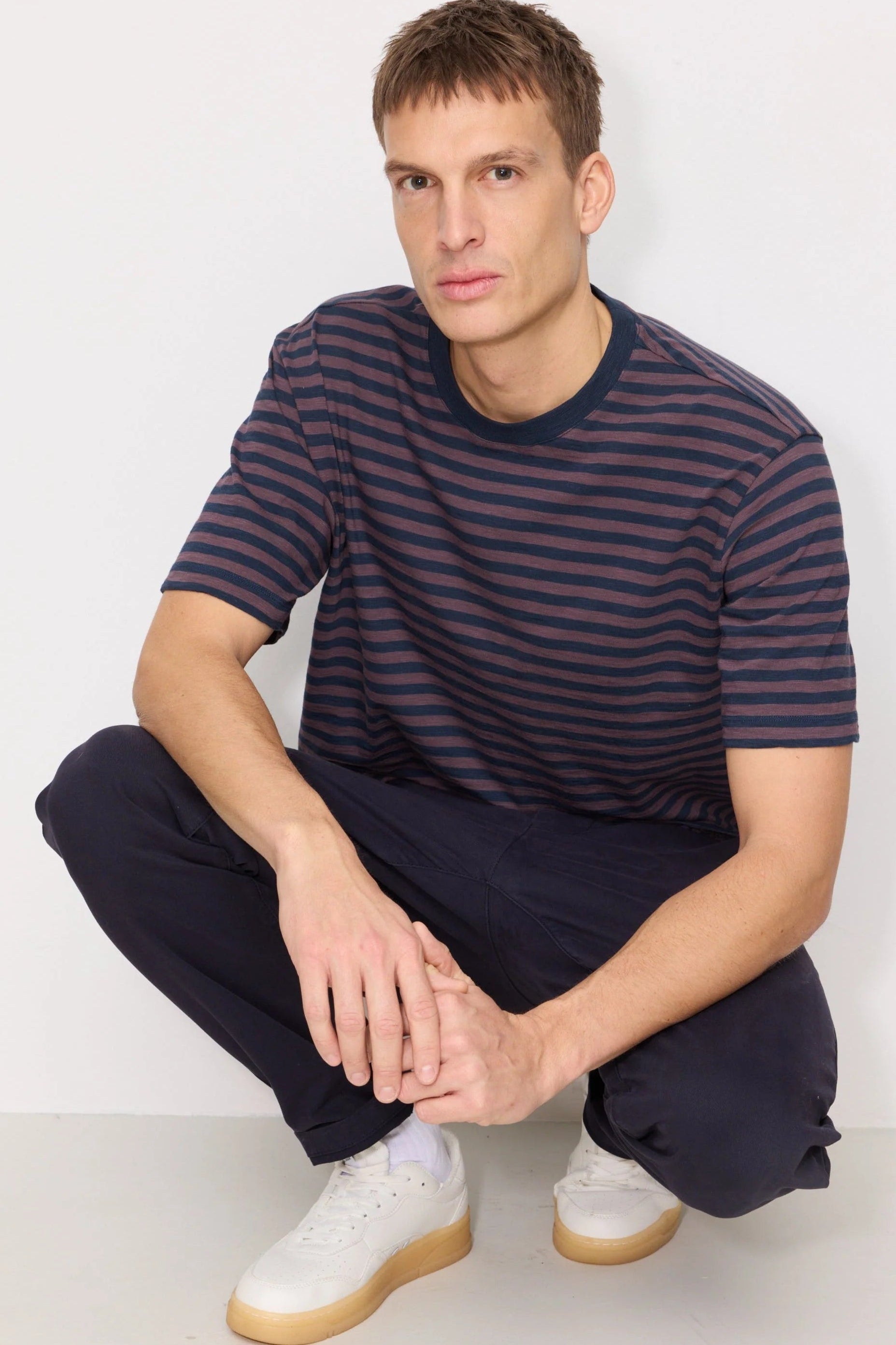 Delonix Stripes