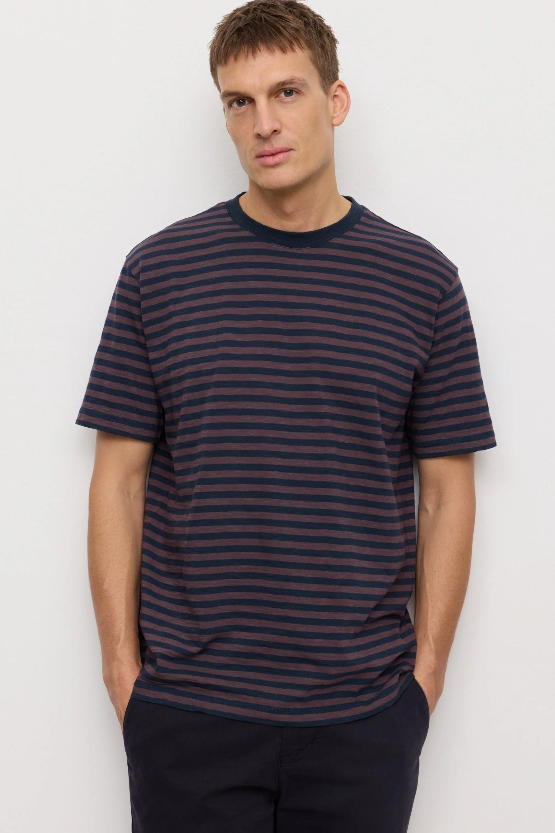 Delonix Stripes