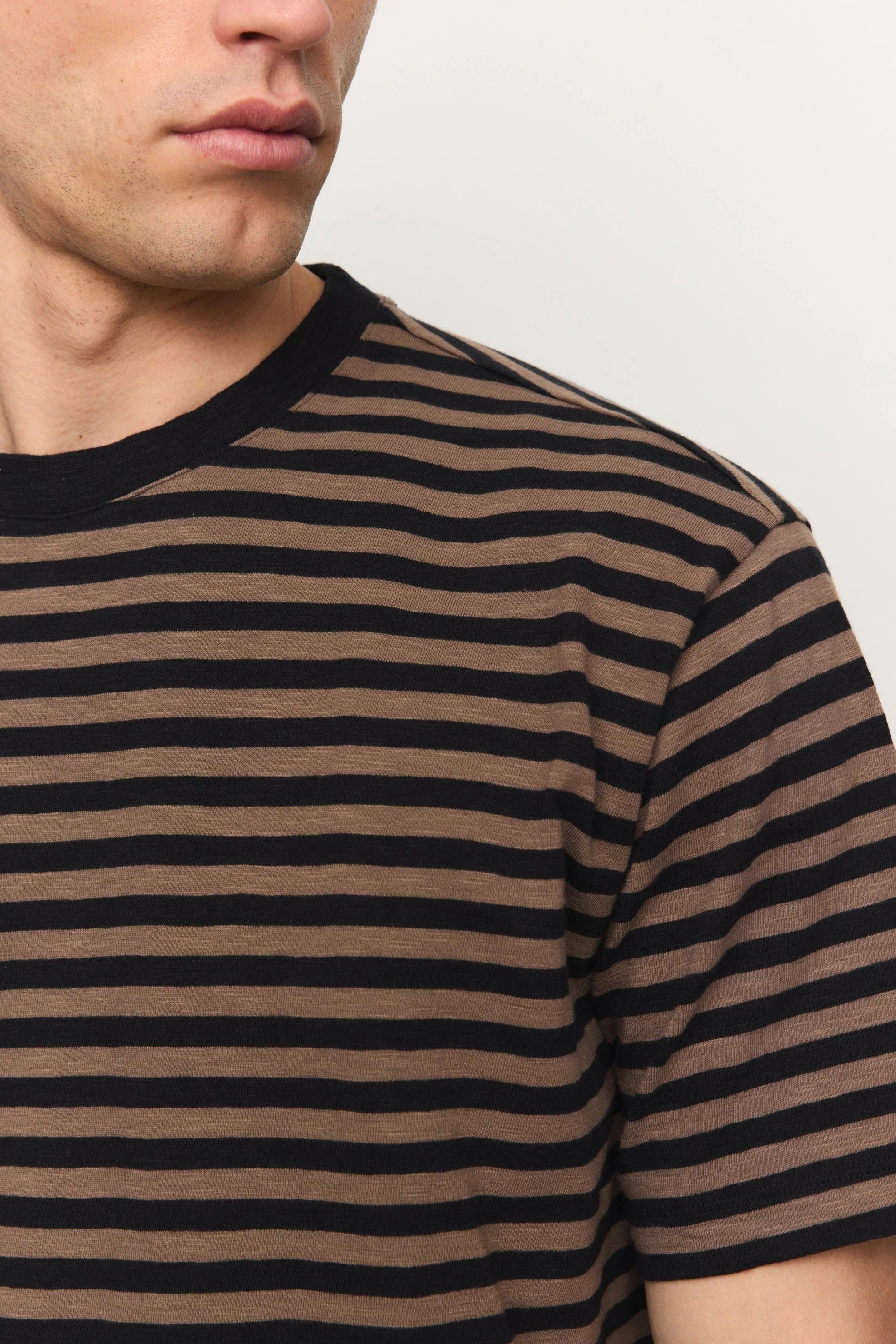 Delonix Stripes