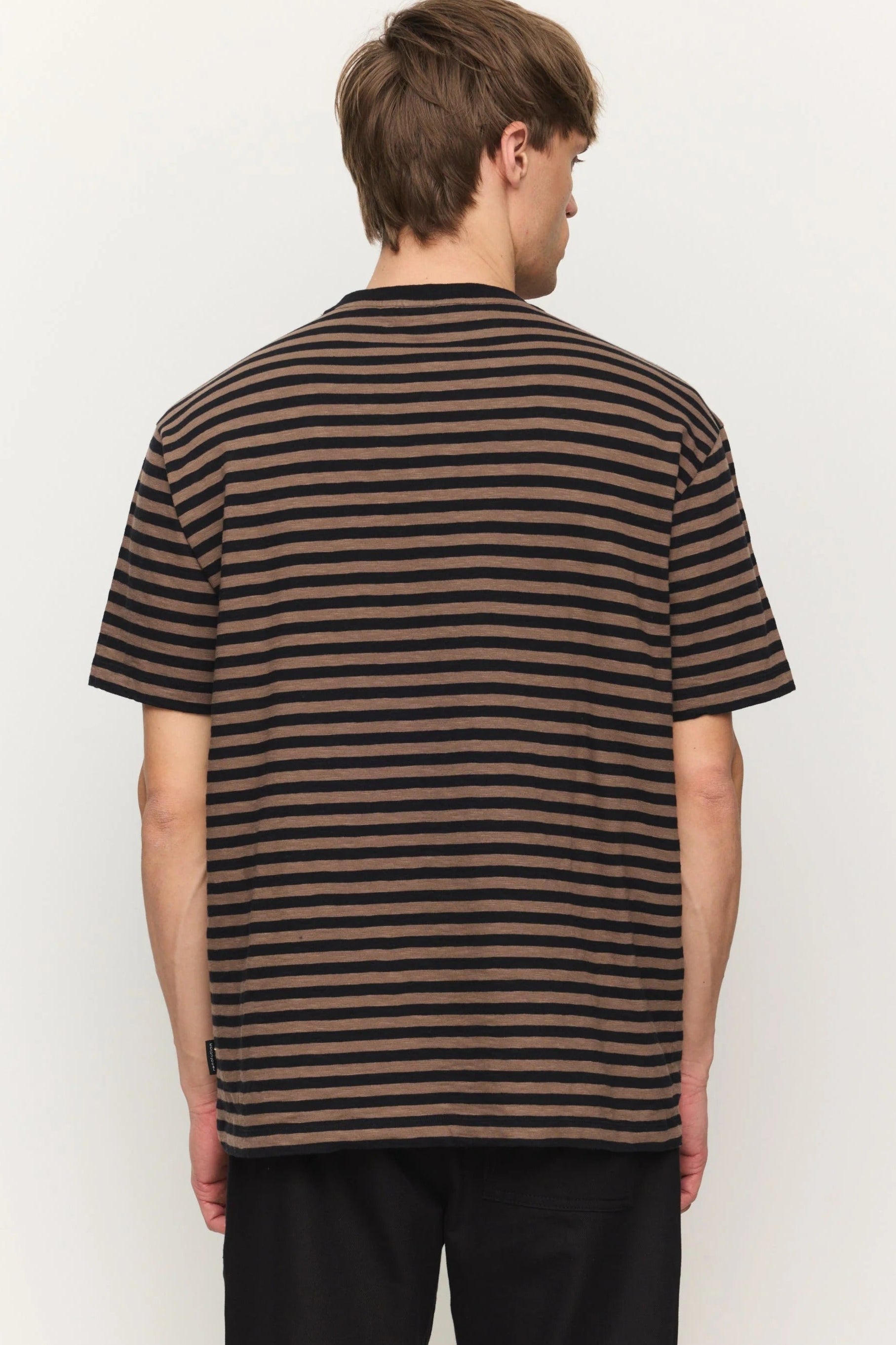 Delonix Stripes