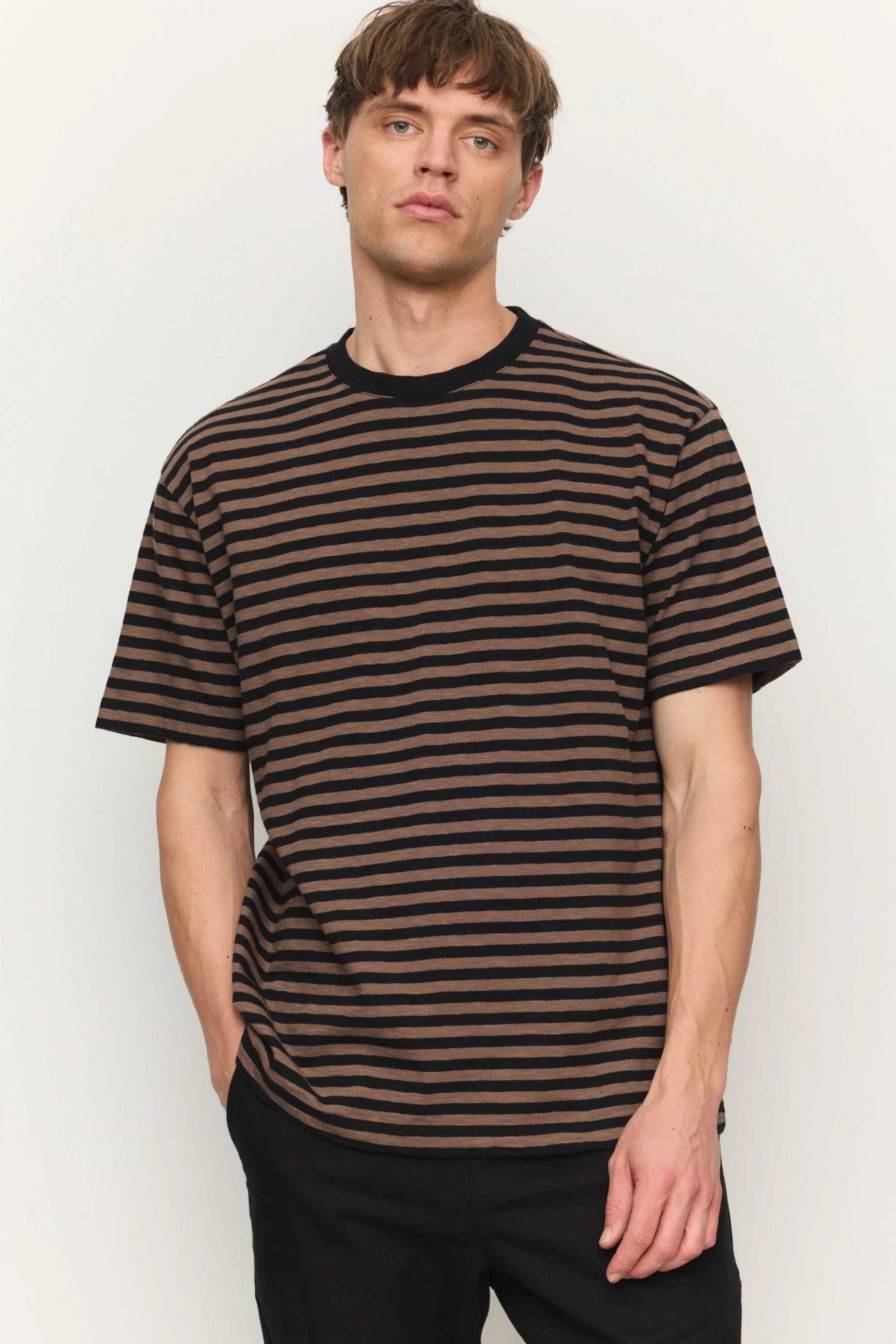 Delonix Stripes