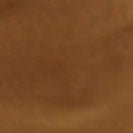 RECOLUTION - Ginger - Larch Brown - BACKYARD