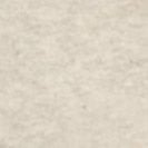 SESSUN - Hoodie - Milkygrès - BACKYARD