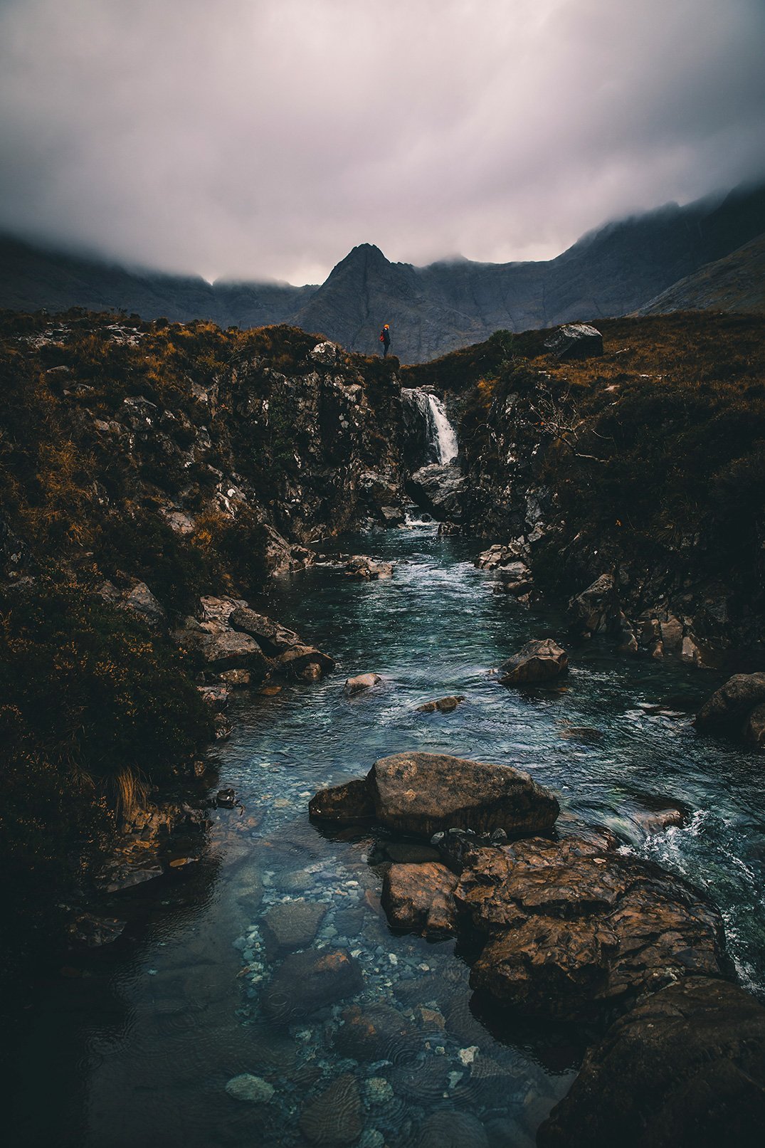 KNOWLEDGE COTTON - BACKYARD